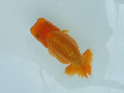 08.9月