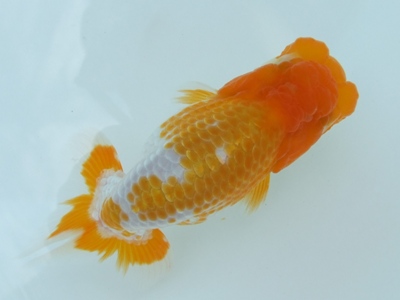 08D9